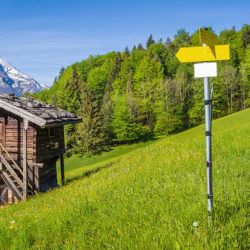 Ausflugsziele im Salzburger Land – Bauernhofurlaub am Blankgut in Wagrain