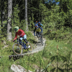 Sommerurlaub in Wagrain, Bike-Park Wagrain