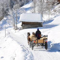 Winterurlaub in Wagrain, Pferdeschlittenfahrten